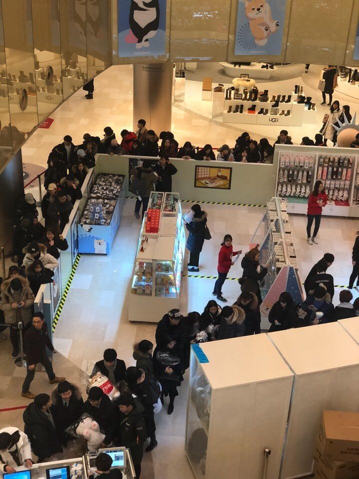 (사진=못된고양이X시로앤마로 잠실롯데타워점)