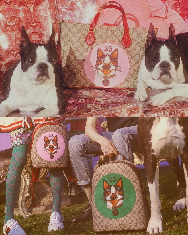 사진=Gucci