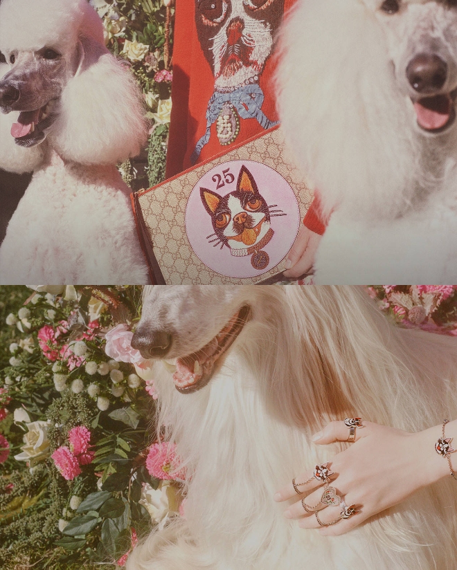사진=Gucci