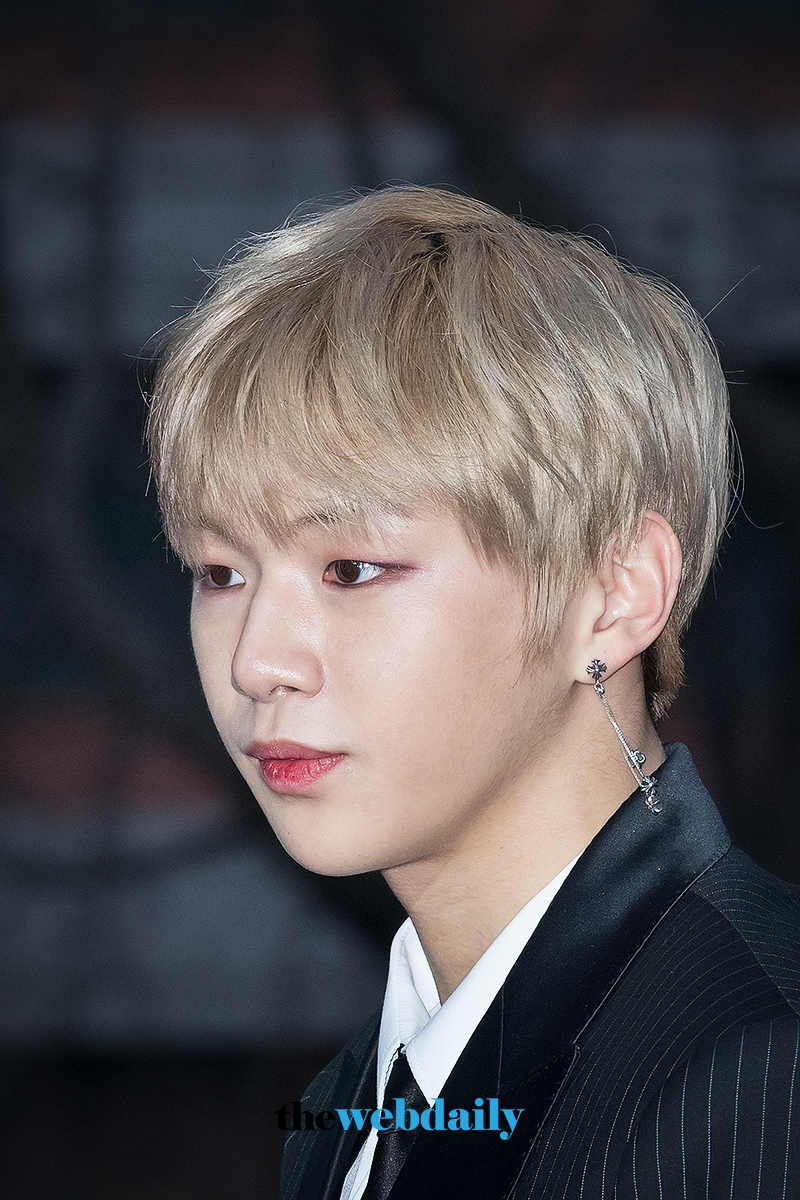 워너원(WannaOne) 강다니엘, 2018 가온차트 K-POP 어워드 레드카펫 행사