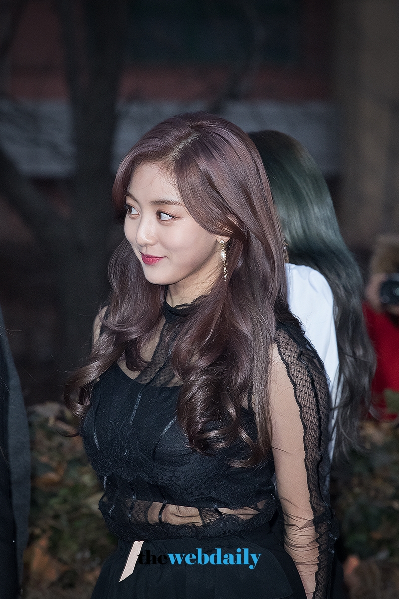 트와이스(TWICE) 지효, 2018 가온차트 K-POP 어워드 레드카펫 행사
