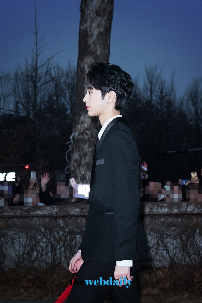 워너원(WannaOne) 라이관린, 2018 가온차트 K-POP 어워드 레드카펫 행사