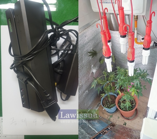 마그네틱 신용카드 복제기와 대마재배.(사진=부산지방경찰청)