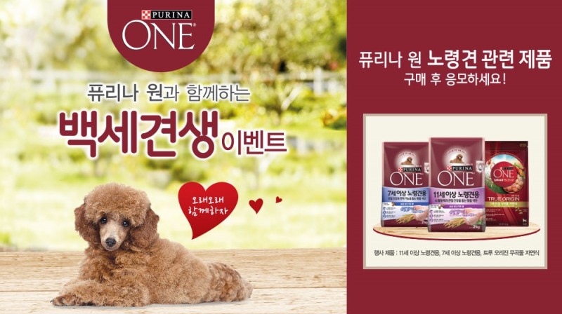 퓨리나 원, '백세견생' 프로모션 진행