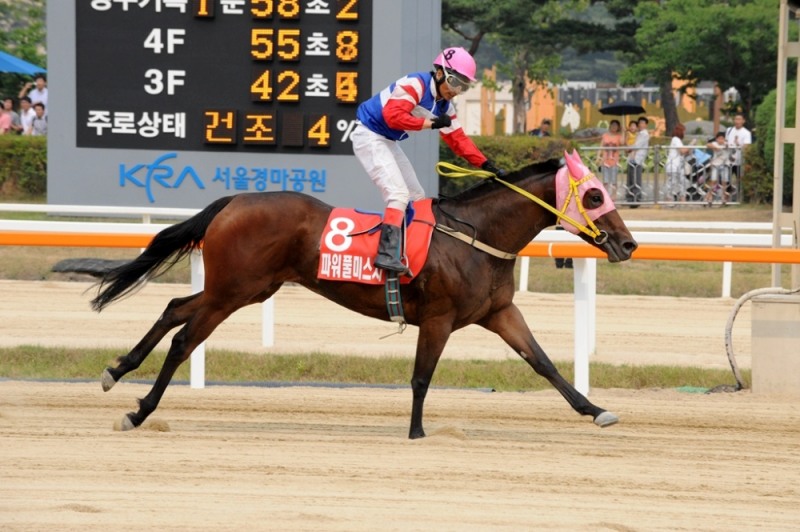 스포츠서울배 출전한 신형철 기수(사진=마사회)