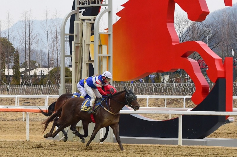 서울스포츠배 신형철 마스크 (사진=마사회)