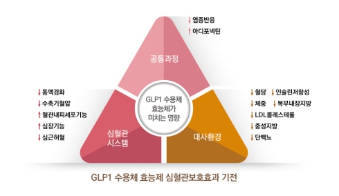 (그림=GLP1 수용체 효능제의 심혈관보호효과 기전)