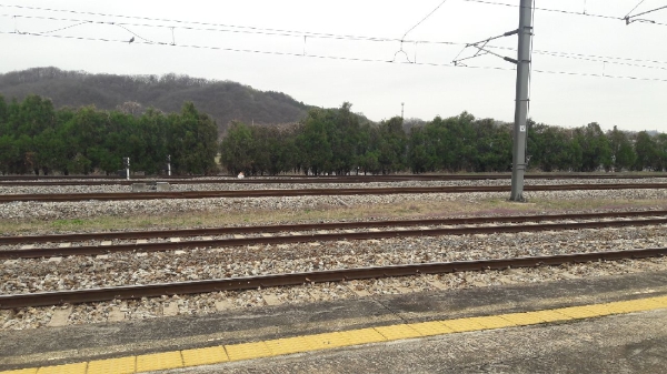 소정리역 인근 선로에 설치된 나무로 만든 방호 울타리(사진=코레일 제공)