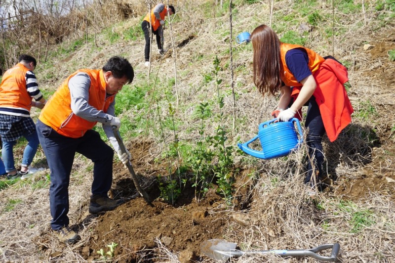 신입사원 나무심기 전경. (사진= 한샘)