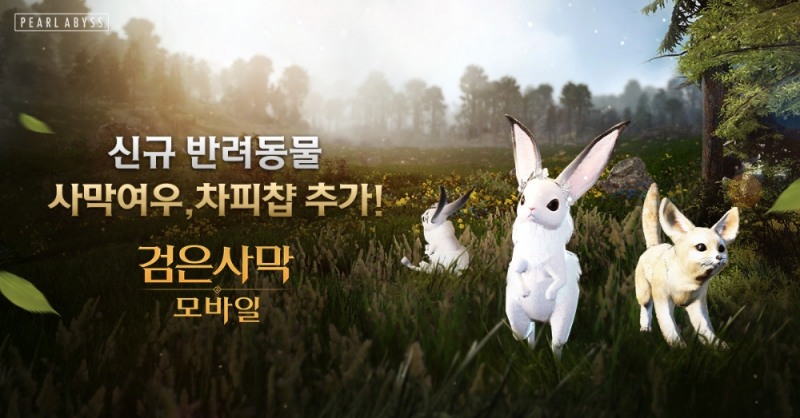 검은사막 모바일, 무법자 모드 추가로 PVP 제한 해제