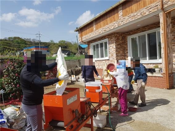 사회봉사대상자들이 다문화가정 농가를 지원하고 있다.(사진제공=포항준법지원센터)