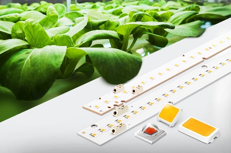 삼성전자가 출시한 '식물생장용 LED 패키지 및 모듈' 제품 이미지. (사진=삼성전자)