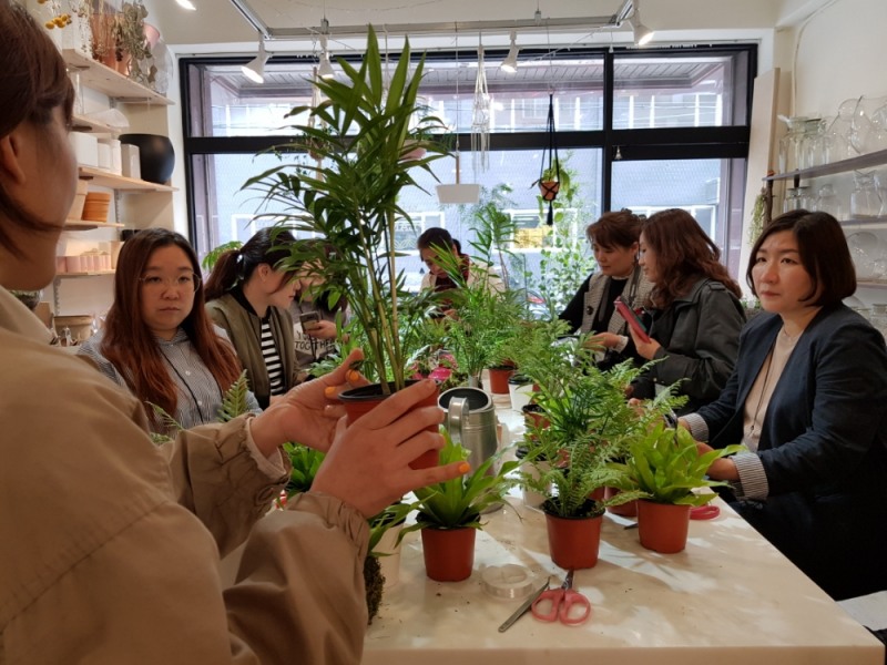 훼라민큐 플랜테리어 원데이클래스 (사진=동국제약)