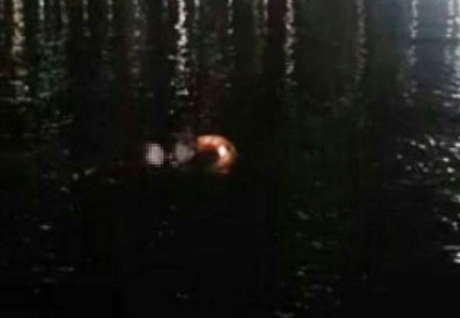 밤바다에 뛰어든 여성을 구하고 있는 경찰관.(사진제공=부산지방경찰청)