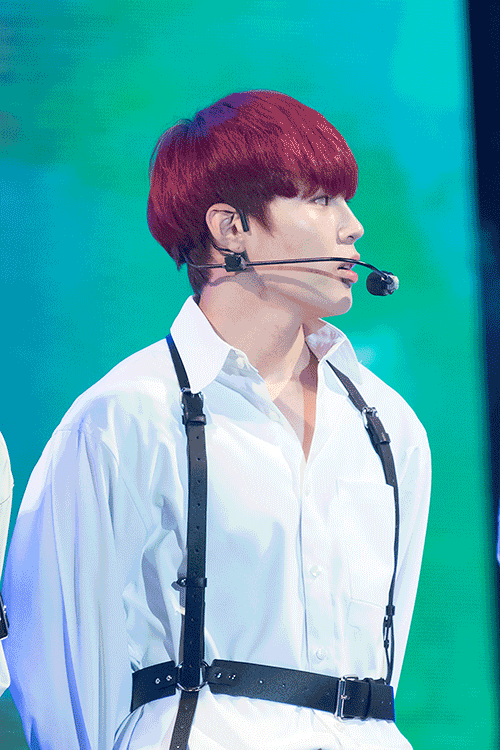 WannaOne(워너원) 하성운, 2018 서원밸리 그린콘서트