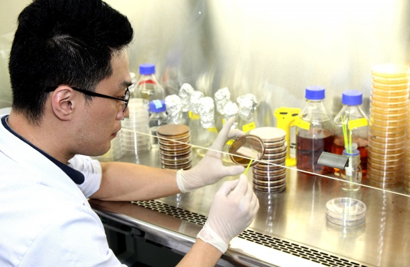 (사진=롯데푸드)