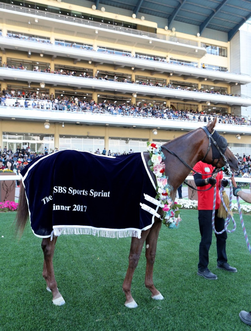 2017년6월4일 SBS스포츠 스프린트(GⅢ) 함완식 돌아온포경선-부산에서 올라온 우승마 돌아온 포경선 (사진=마사회)