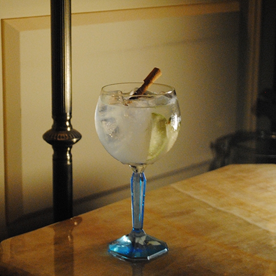 집에서 즐기는 홈 칵테일 만드는 방법은?…마가리타·팔로마·스패니쉬 진앤토닉