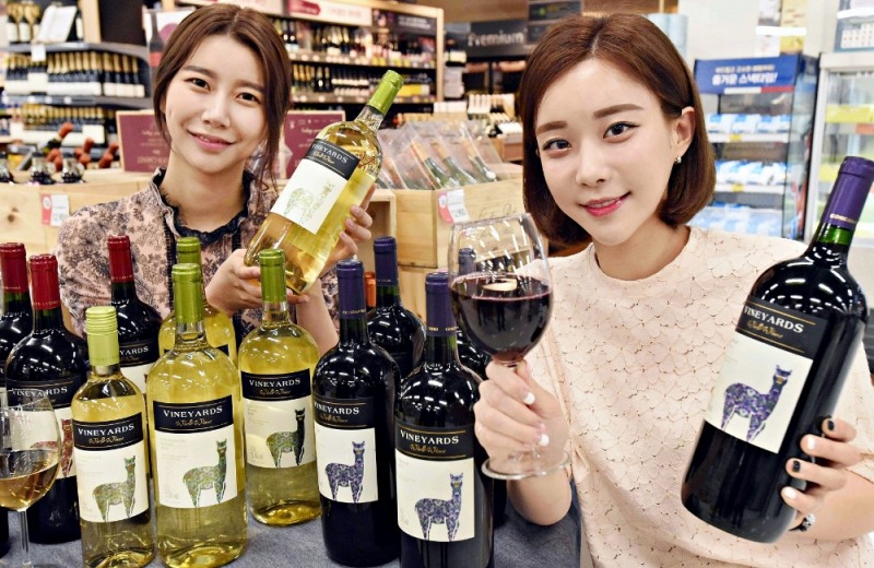 홈플러스 ‘빈야드’ 와인 대용량 출시