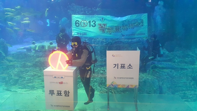 수중 투표 퍼포먼스를 벌이고 있다.(사진제공=부산시선거관리위원회)