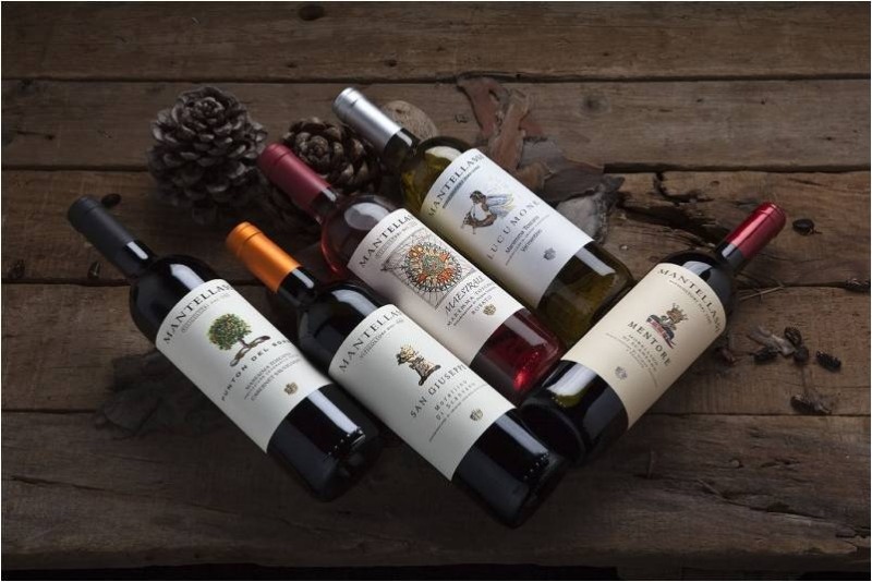 금양인터내셔날, 이태리 프리미엄 와인 ‘만텔라시’ 출시