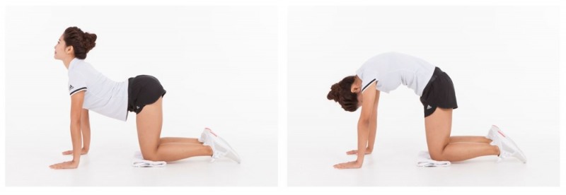 뻐근한 허리 근육 풀어주는 스트레칭 (사진=자생한방병원)