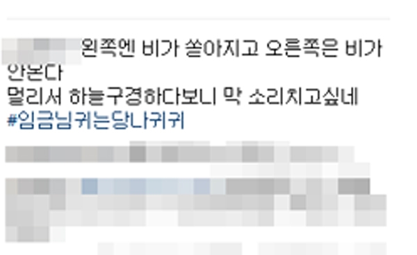 (사진 출처 : instagram)