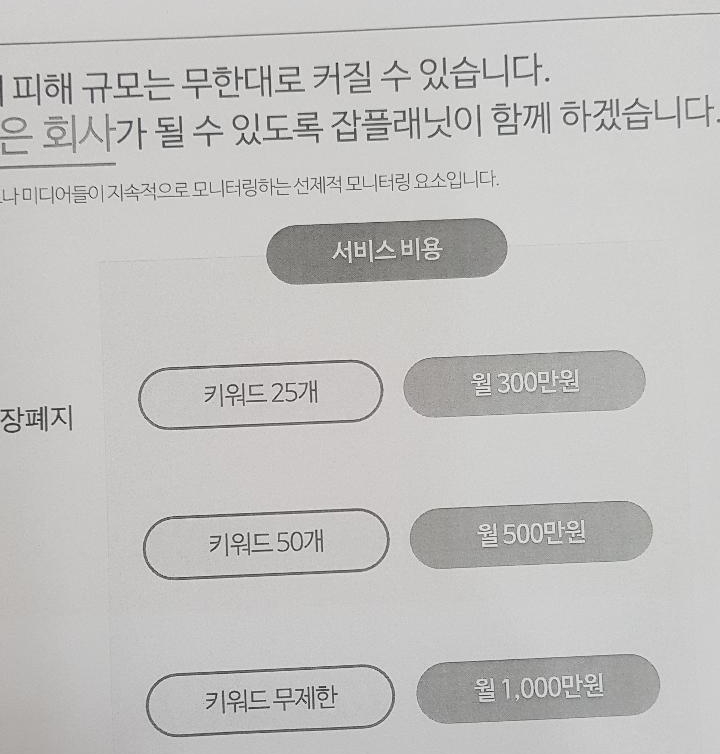 잡플래닛 임원이 A금융사를 방문해 전달한 것으로 알려진 '알리'서비스 안내 자료. (사진=A금융사 제공)