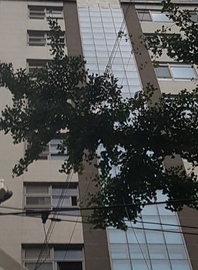 (사진제공=부산지방경찰청)