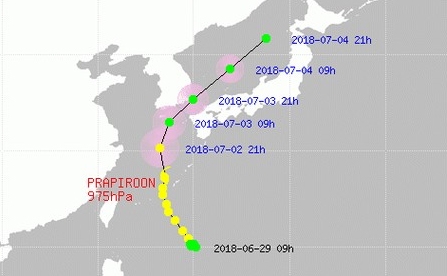 (이미지 출처 : naver정보화면)