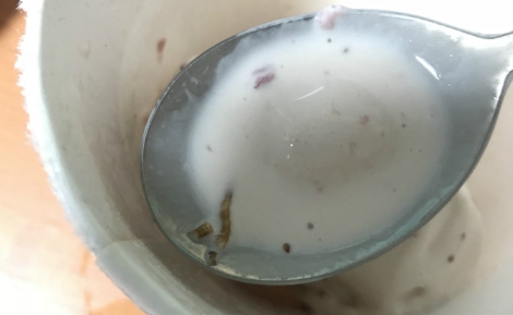 하겐다즈 아이스크림에서 발견된 딱정벌레 유충 이미지. (사진=보배드림 캡쳐)