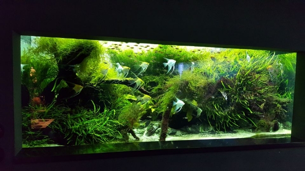 유영아 작가 '초록색 유영'