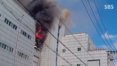 (출처 : 에스비에스 보도화면)