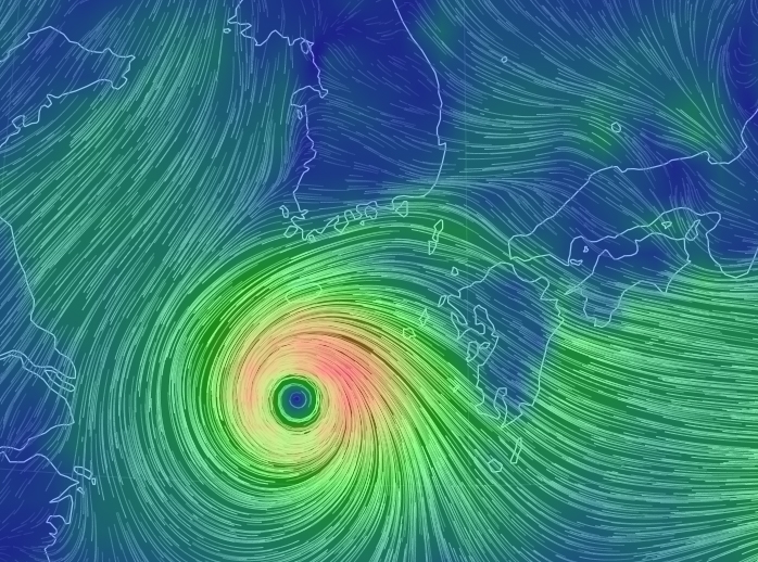 (출처 : 어스눌스쿨)