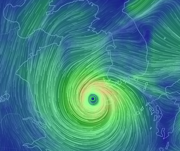 (출처 : 어스 눌 스쿨)