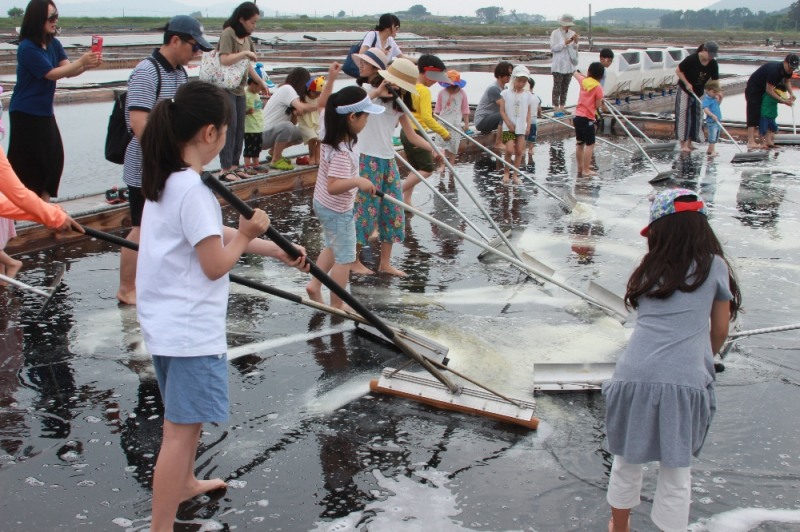 지난 6월 9~10일에 걸쳐 전북 고창 동호어촌체험마을에서 진행된 어촌사랑 소그룹 교류행사에서 참가자들이 체험 프로그램에 참여하고 있다. (사진=수협중앙회)