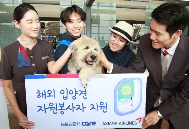 (사진=아사아나항공)