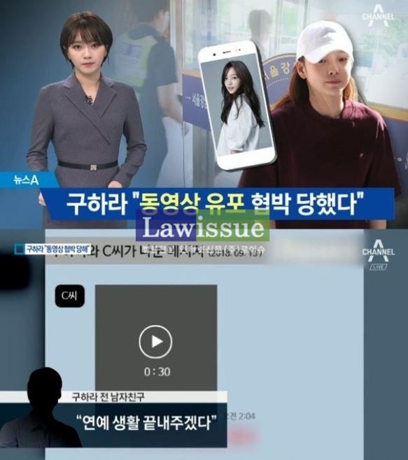 리벤지 포르노 뭐길래 ...구하라, 남자친구와 휘몰아친 소용돌이