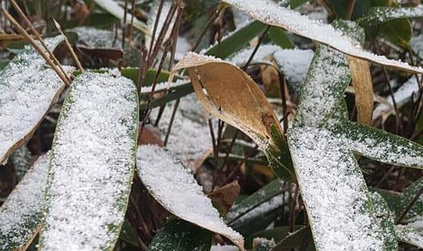 급격하게 곤두박질...서울 첫 얼음, 불과 세달전 40도 찜통더위 무색