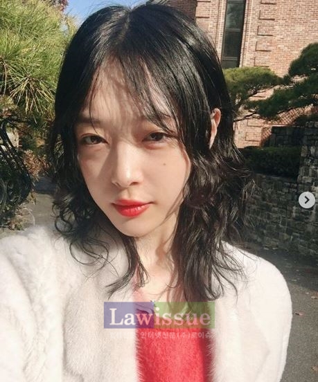 영화 리얼, 방영에 급작스레 쏠린 관심...설리 김수현 키스신 소감 묵음 처리된 이유?