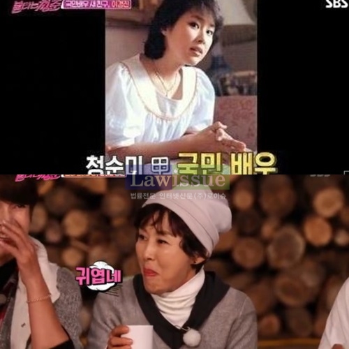 이경진 나이, 궁금해하는 많은 이들...'여전히 존재하는 남다른 美'