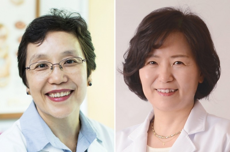 (사진=분당서울대병원 소화기내과 김나영, 서울대병원 강남센터 임선희 교수)
