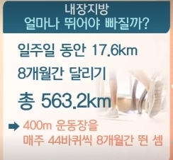 <레몬밤 효능>TV정보쇼 알짜왕 화면캡쳐