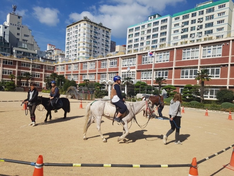 (사진=한국마사회)