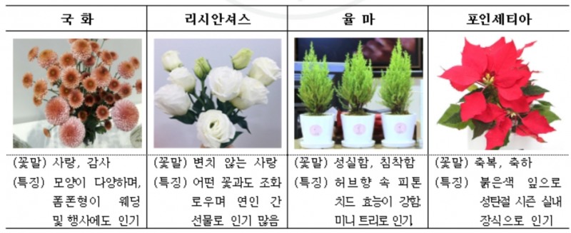 사진=aT 제공