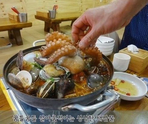 활문어해물탕 (생방송투데이 방송화면)