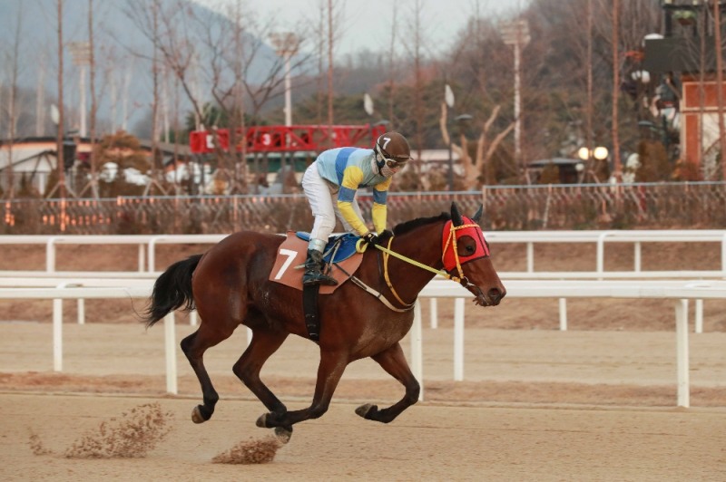 (사진=한국마사회)