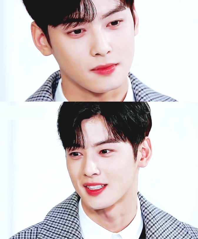 섹션TV 차은우(사진=방송화면 캡쳐)