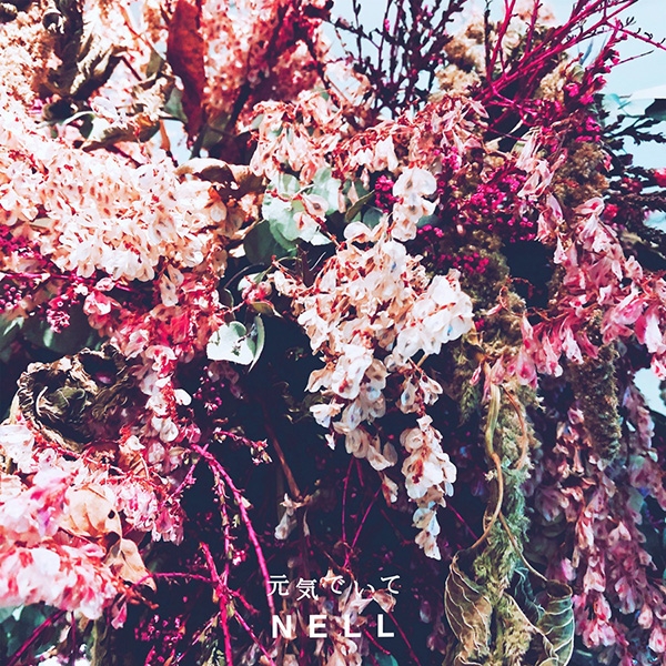 넬(NELL), 5일 신곡 ‘헤어지기로 해’ 일본어 ver. 음원 발매