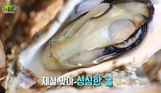 출처 : 케이비에스 방송화면